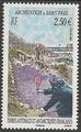 TAAF463 - Philatélie - Timbres des terres australes n° YT463 - Timbres de collection