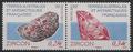 TAAF578-579 - Philatélie - Timbres des terres australes n° YT578-579 - Timbres de collection