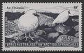 TAAF582 - Philatélie - Timbres des terres australes n° YT582 - Timbres de collection