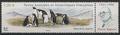 TAAF595 - Philatélie - Timbres des terres australes n° YT595 - Timbres de collection