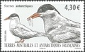 TAAF725 - Philatélie 50 – Timbre des terres australes et antarctiques françaises N° 725