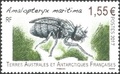 TAAF802 - Philatélie 50 – Timbre des terres australes et antarctiques françaises N° 802