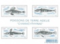 TAAFF732 - Philatélie 50 – Timbre des terres australes et antarctiques françaises N° F732