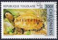 timbre de tortue Philatélie 50 timbre de collection thématique animaux